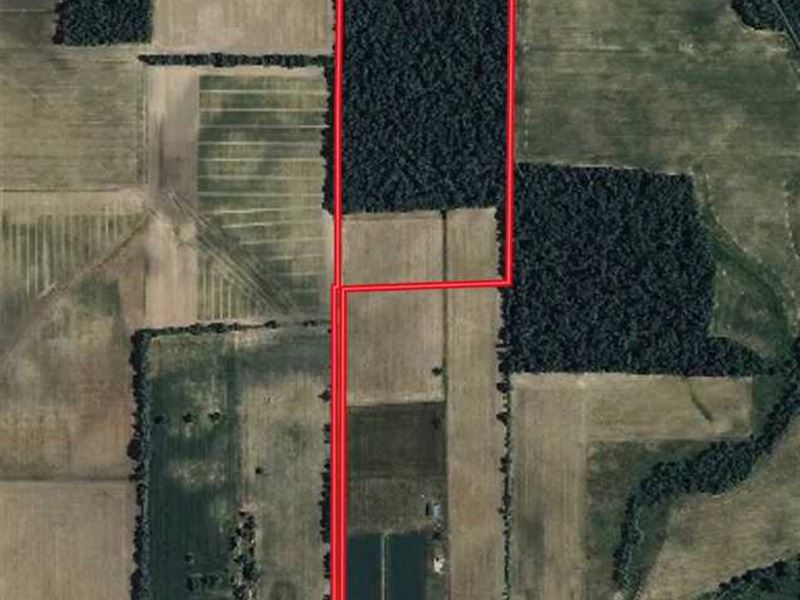 42 Acres of Land For Sale in Adams Farm for Sale in Pleasant Mills, Adams County, Indiana