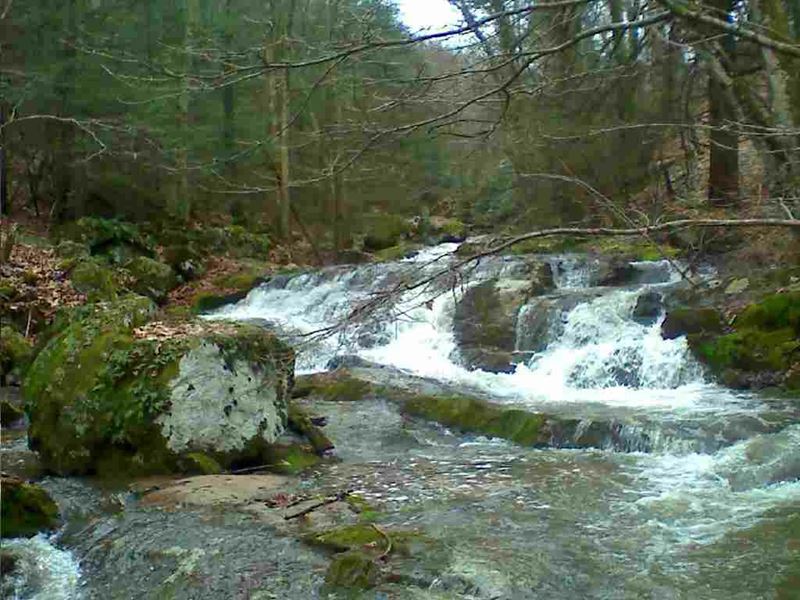 Secluded Mountain Land with Creek : Elk Creek : Grayson County : Virginia