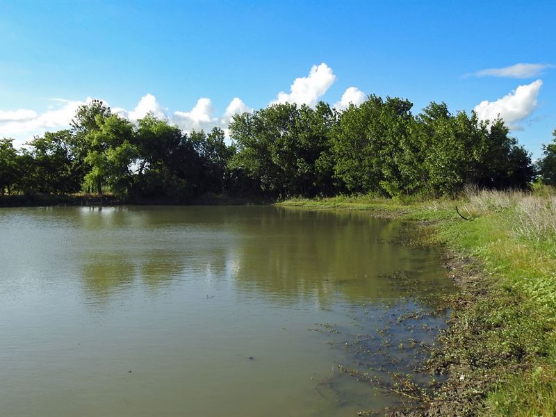 11.12 Ac, Cr 114, Milam County : Rogers : Milam County : Texas