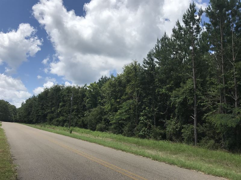 County Road 35 Tract Farm for Sale in McKenzie, Covington County