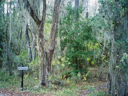 Owner Fin, 38 Ac Income Potential : Webster : Sumter County : Florida
