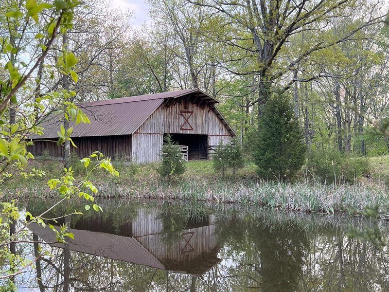 Gorgeous 78.84 Rolling Acres Just 6 : Cumberland Furnace : Dickson County : Tennessee