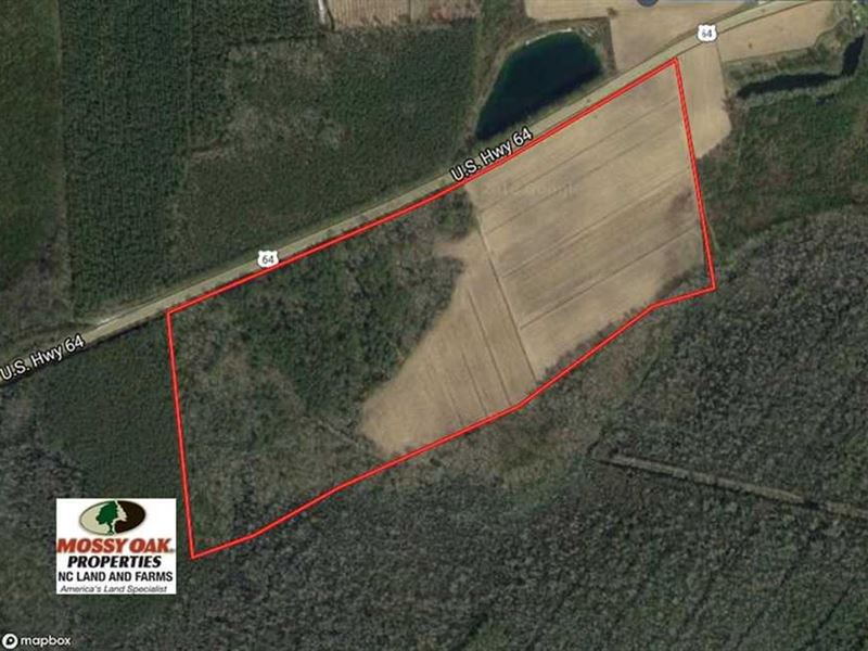 83 Acres of Comme : Columbia : Tyrrell County : North Carolina