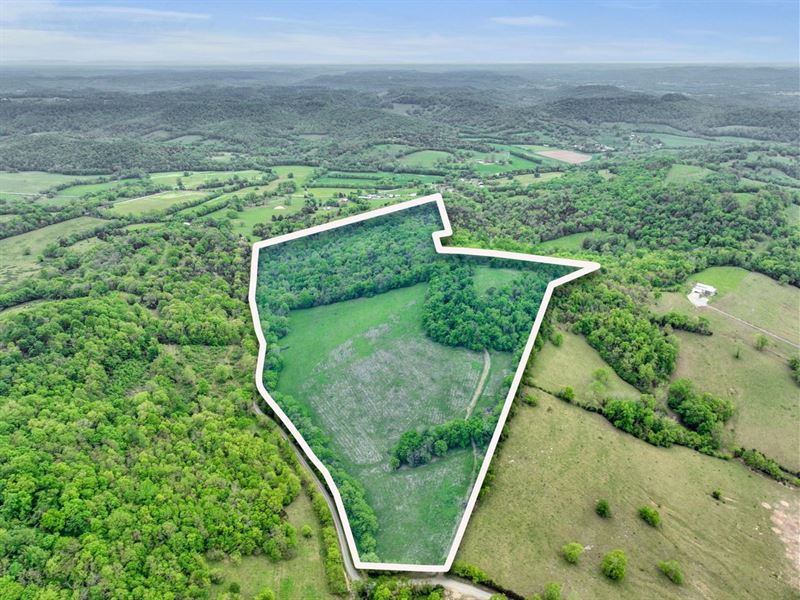 Beautiful Rolling Tract with Creek : Petersburg : Lincoln County : Tennessee