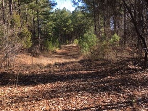 Kitchens, Pontotoc Tract : Randolph : Pontotoc County : Mississippi