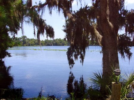Unique Lakefront Property : Bunnell : Flagler County : Florida
