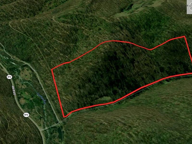 Potter County, 61 Acres, Stat : Coudersport : Potter County : Pennsylvania