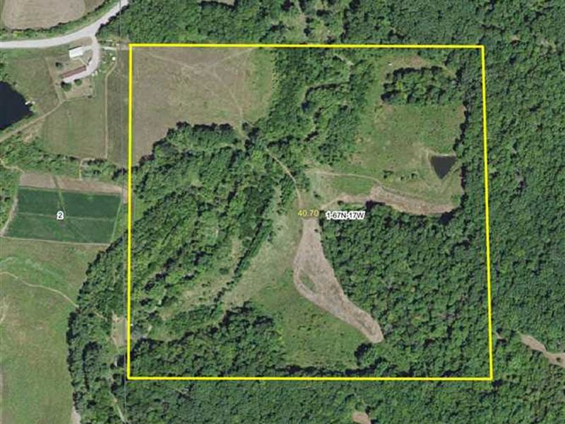 40 Acres M/L Hunting Land for Sal : Exline : Appanoose County : Iowa
