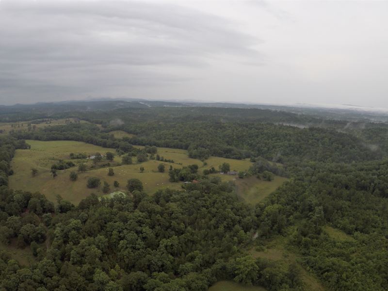Ouachita National Forest Plantation : Mount Ida : Montgomery County : Arkansas