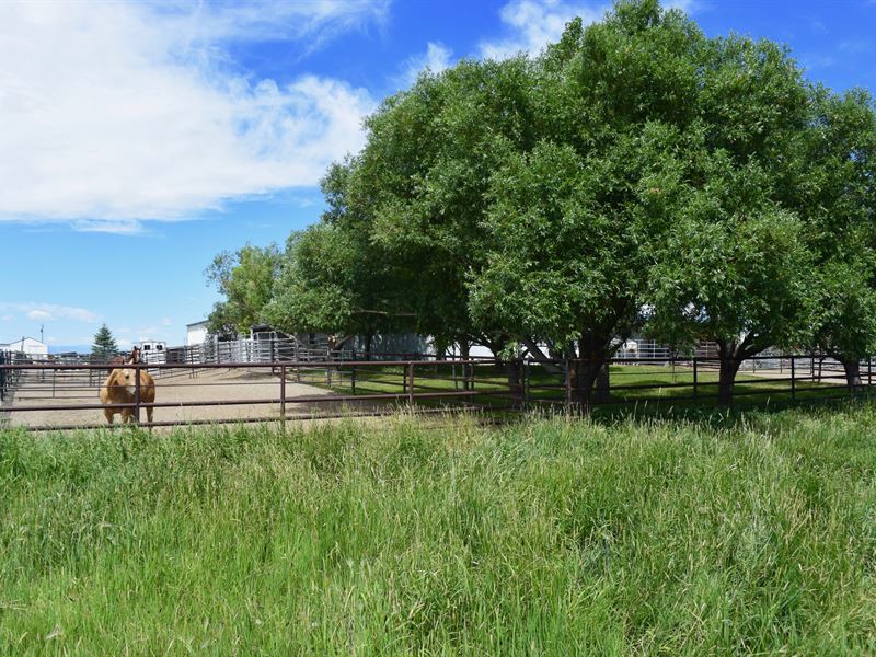 Fremont Sheep Ranch, Farm for Sale in Wyoming, 155141 FARMFLIP