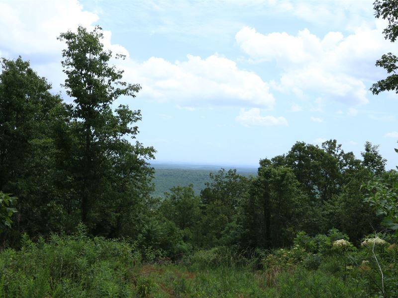 Big Sky Views - Private Mtn Retreat : Ashville : Saint Clair County : Alabama