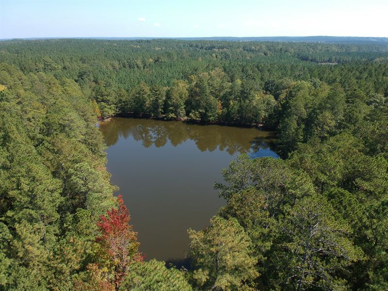 166.19 Acres, Newberry County, Sc : Joanna : Newberry County : South Carolina