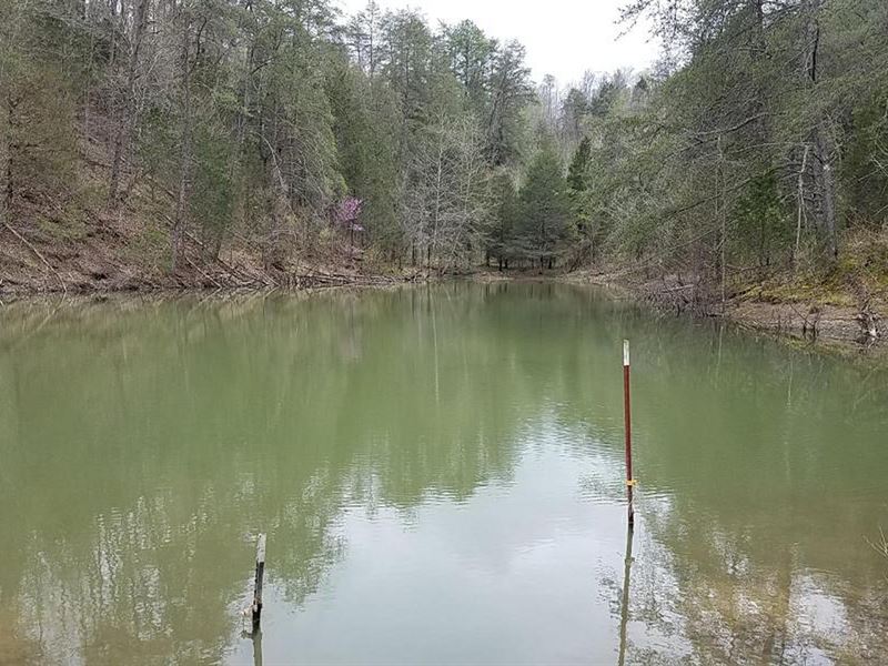 50 Acres with A Year-Round Creek : Sneedville : Hancock County : Tennessee