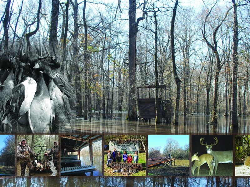 Premier Duck & Deer Listing : Holcomb : Grenada County : Mississippi