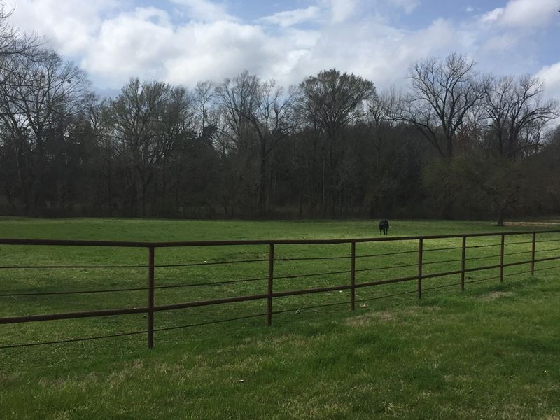 Ramsey Cattle Barn : Vicksburg : Warren County : Mississippi