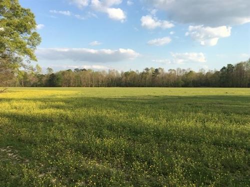 Copiah County Wooded & Open Hunting : Wesson : Copiah County : Mississippi