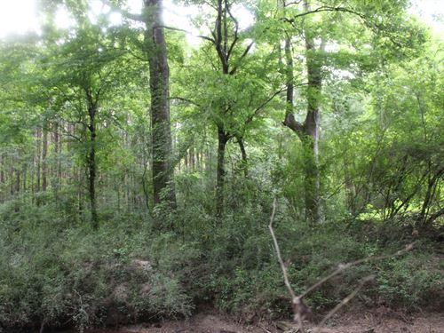 Pricedale Road Getaway : Brookhaven : Lincoln County : Mississippi