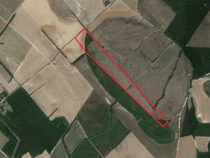 40.06 Acres of Recreational and Res : Bennettsville : Marlboro County : South Carolina