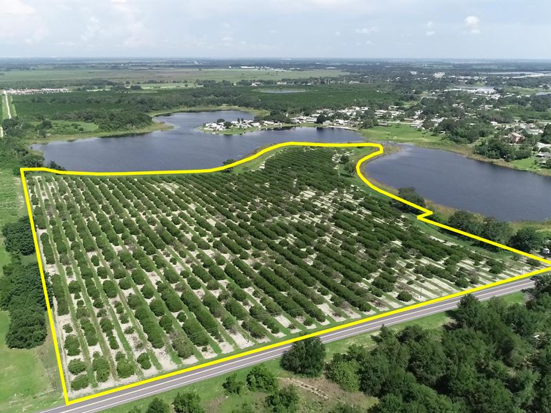 32 Acres Residential Development : Lake Wales : Polk County : Florida