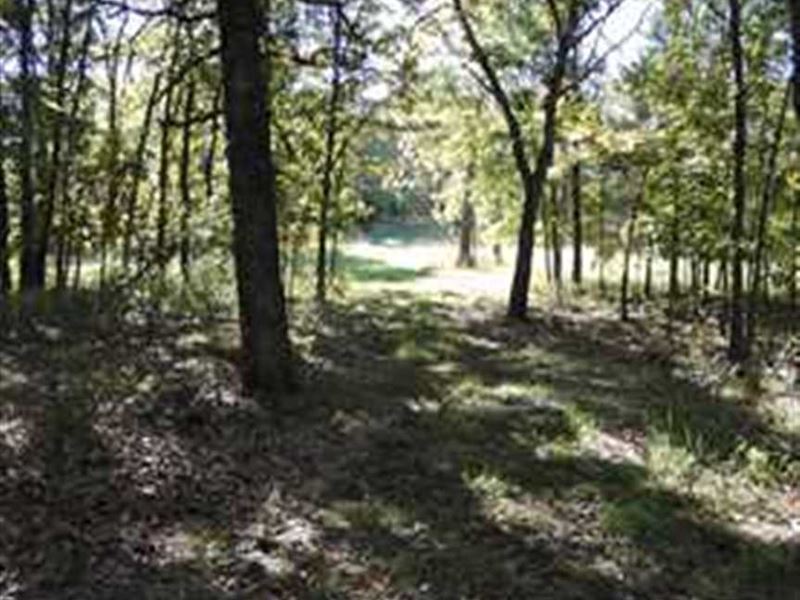 72 Acres Some of The Best Hunting : Roach : Camden County : Missouri