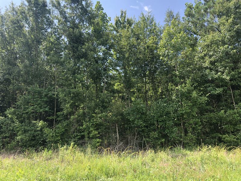 Land for Sale Beaufort County North, Farm for Sale in North Carolina