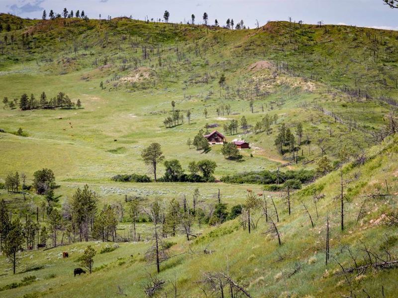 Tongue River Ranch, Farm for Sale in Montana, 155796 FARMFLIP