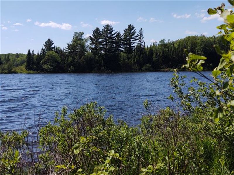 Lot 15 Fence Lake Rd : Michigamme : Baraga County : Michigan