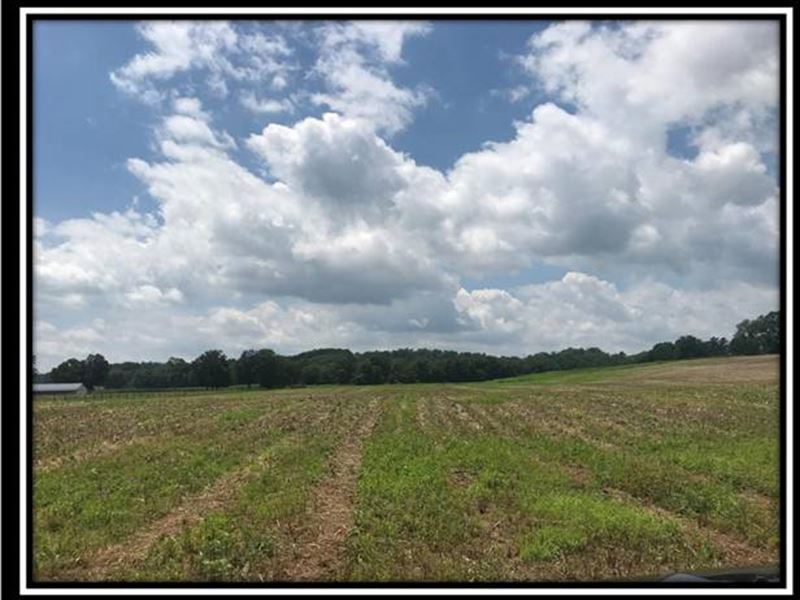 Tract 5 At Rankin Meadows : Glenford : Licking County : Ohio