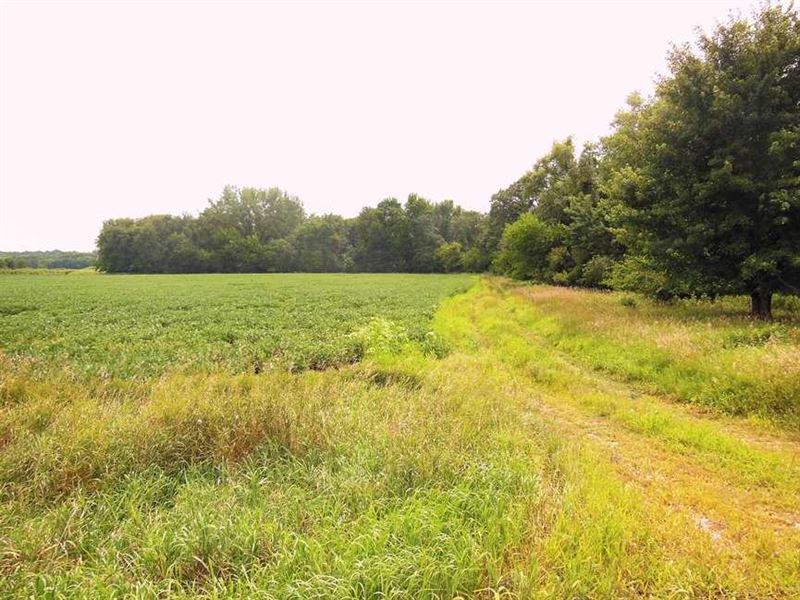 139 Ac, M/L, Land for Sale in Fran, Farm for Sale in Iowa, 156205