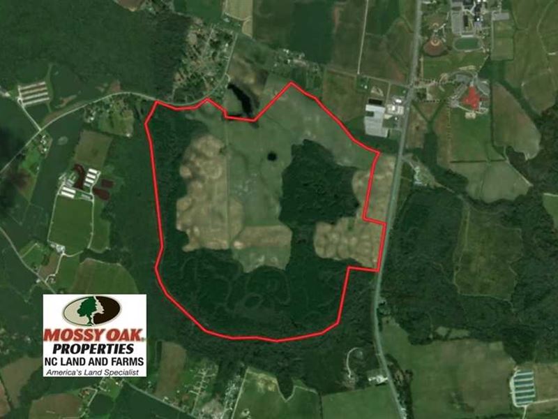382 Acres of Farm and Timber Land, Farm for Sale in North Carolina
