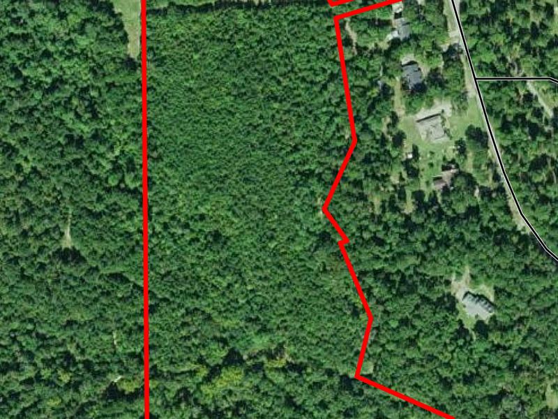 20 Ac, Westbrook Dr, Monroeville : Monroeville : Monroe County : Alabama