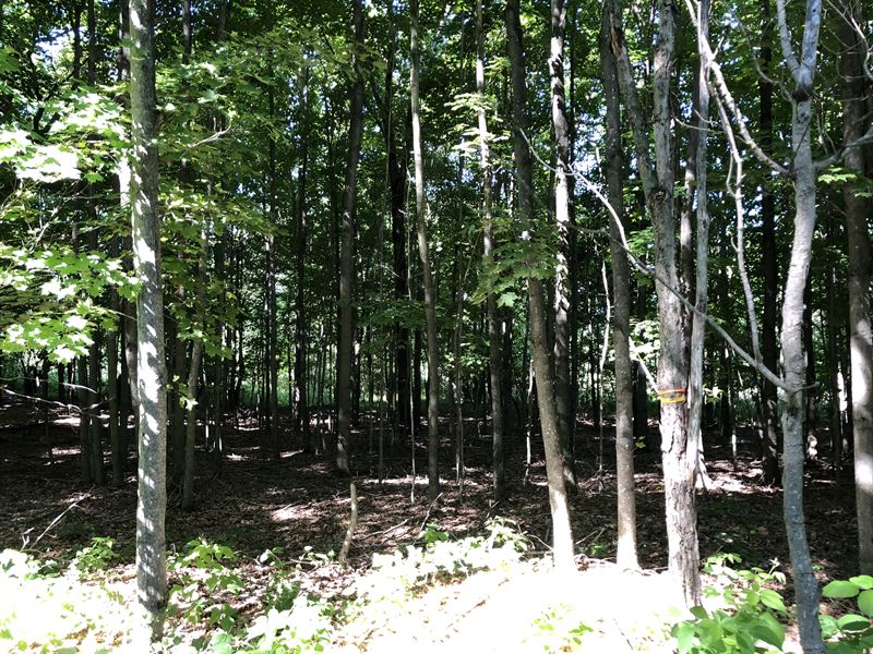 Southern Tier Camp Spot, Farm for Sale in New York, 156355 FARMFLIP