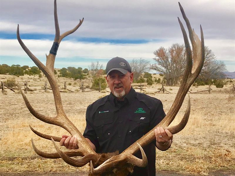 Unit 17 Trophy Elk and Cattle Ranch : Magdalena : Socorro County : New Mexico