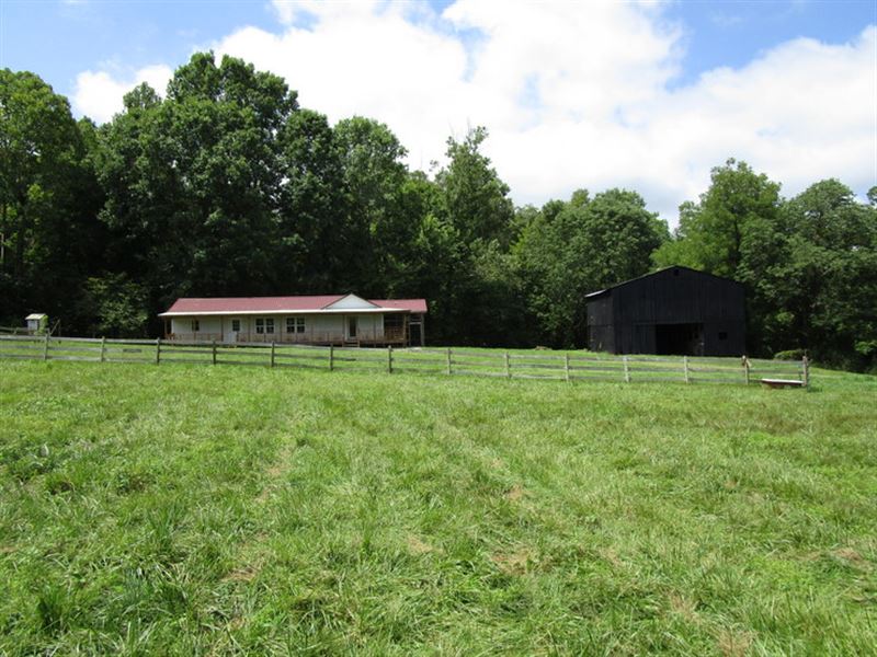 11 Acres In Adair County, Ky Farm for Sale in Gradyville, Adair