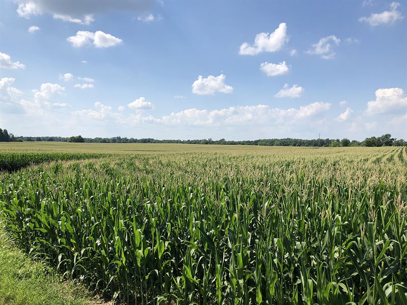 Prime Ohio Farm Auction, Farm Auction in Ohio, 156444 FARMFLIP