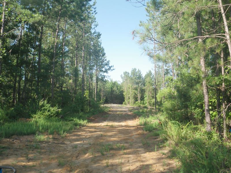 Farmersville Tract, Farm for Sale by Owner in Alabama, 156541 FARMFLIP