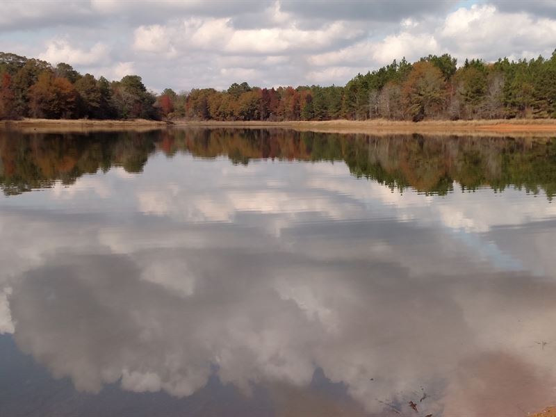 Turnkey Hunting With Lake & Lodge : Shellman : Randolph County : Georgia