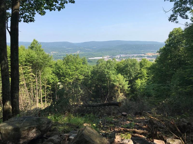 375 +/ Acres Of Land, Farm for Sale in Pennsylvania, 156632 FARMFLIP