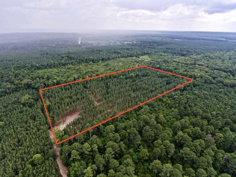 20 Acre Recreational/Timber Acreage : Benton : Bossier Parish : Louisiana