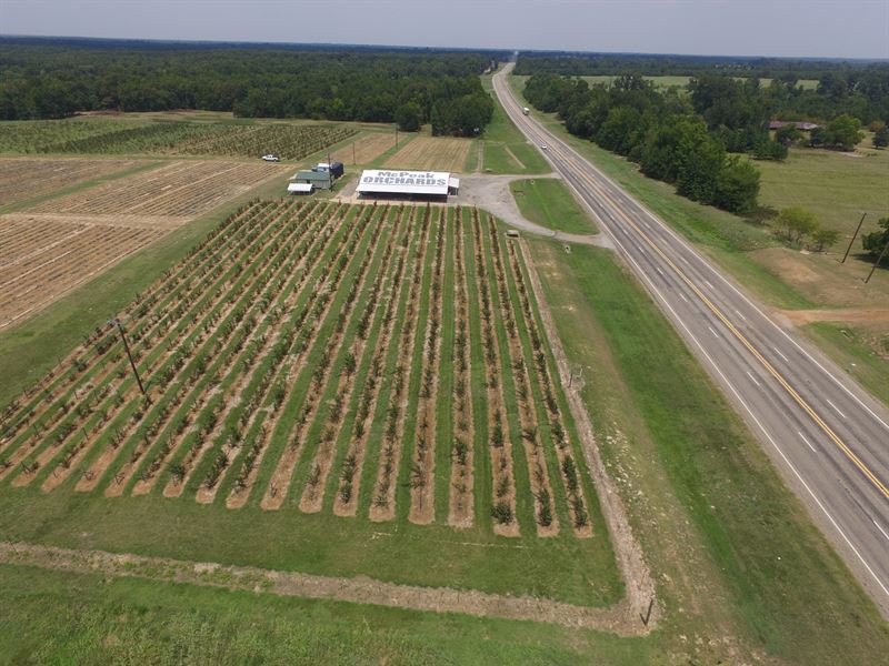 Retail Peach/Produce Facility : Gilmer : Upshur County : Texas