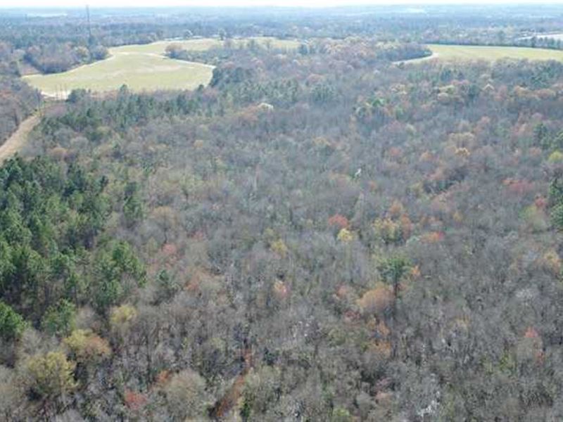 177 Acres Hunting Land for Sale : Poulan : Worth County : Georgia