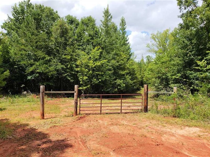 56.17 Acres in York, York County, Farm for Sale in South Carolina, 156971 FARMFLIP