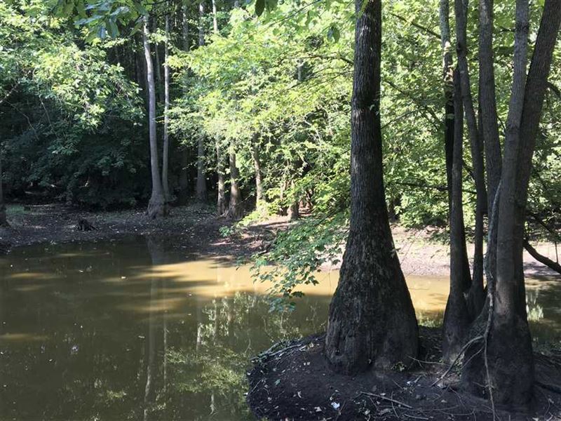 Duck Hunting Hole, Large Timber Farm for Sale in Batesville
