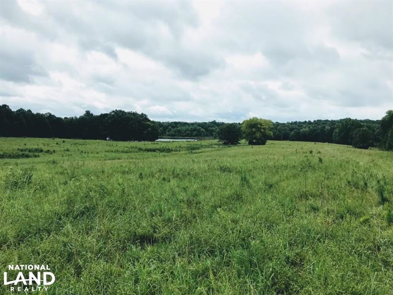 Darby Road Cattle Farm, Farm for Sale in South Carolina, 157060 FARMFLIP