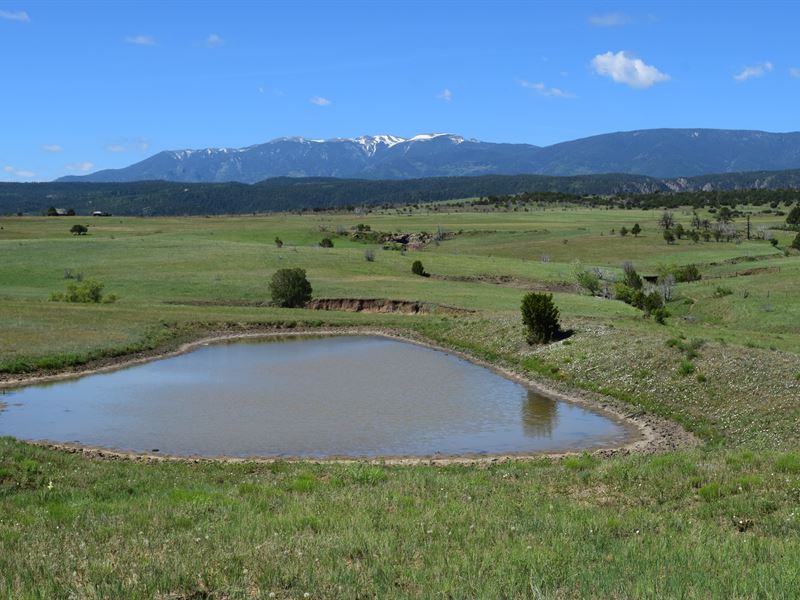 Spectacular Canyon, River & Prairie : Beulah Valley : Pueblo County : Colorado