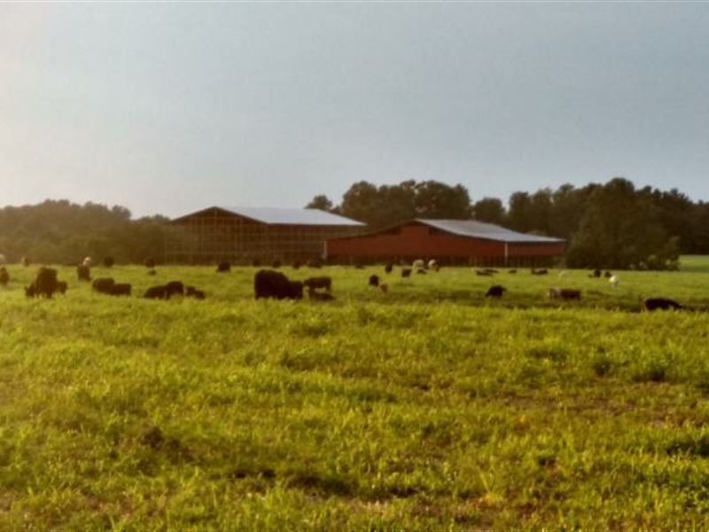 70.30Ac, Creek, 2 Barns, Mtn Views : Lafayette : Macon County : Tennessee