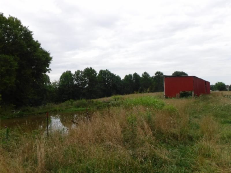 32.61 Acres, Barn, Pond, Creek : Lafayette : Macon County : Tennessee