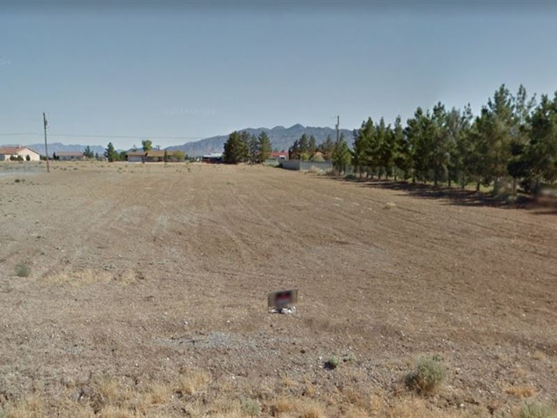 31 potter pahrump nv 89048 31 potter pahrump nv 89048