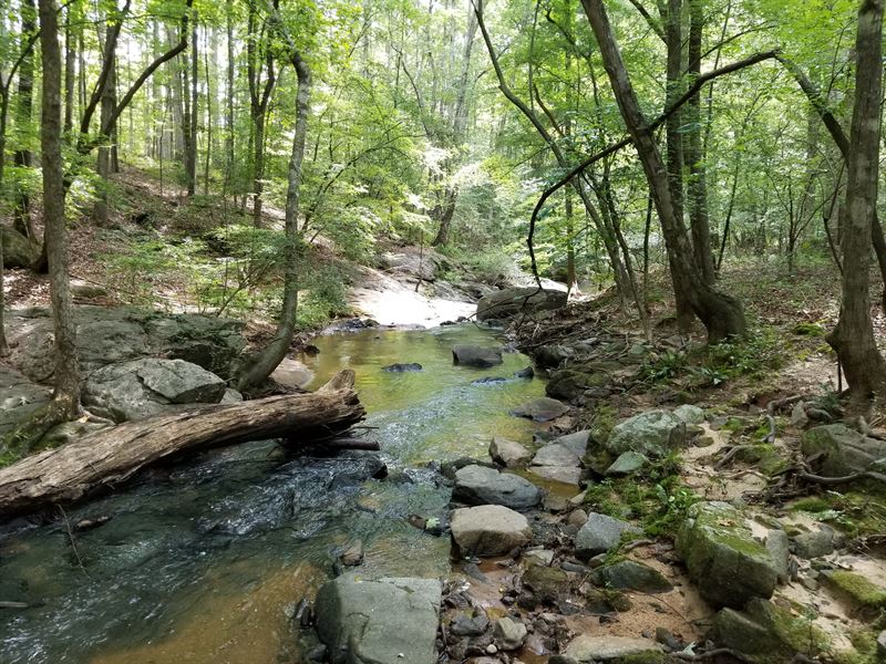 All Wooded, Creek, Deer & Turkey : Watkinsville : Oconee County : Georgia
