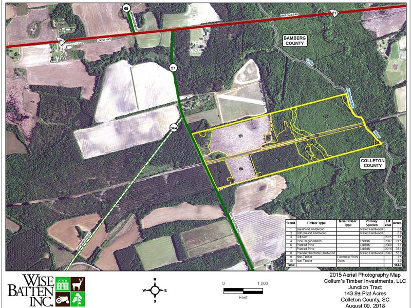Junction Tract with River Frontage : Lodge : Colleton County : South Carolina